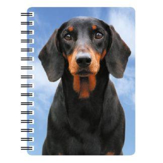 5030717118144 3D Notebook Dachshund Black and Tan