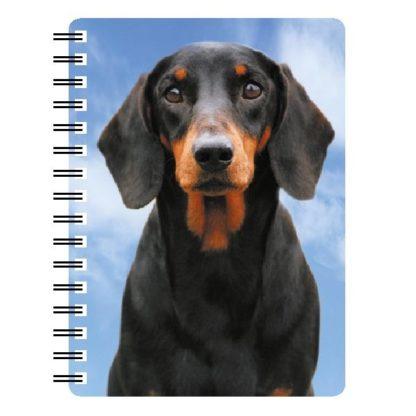 5030717118144 3D Notebook Dachshund Black and Tan