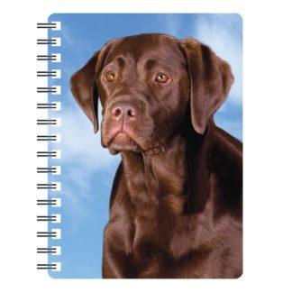 5030717115716 3D Notebook Labrador Chocolate 1