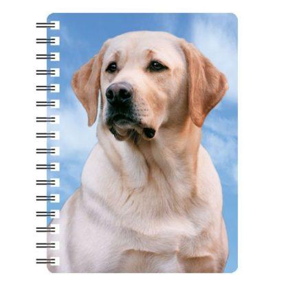 5030717115723 3D Notebook Labrador Yellow 1