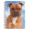 030717118335 3D Notebook Staffordshire Bull Terrier Red