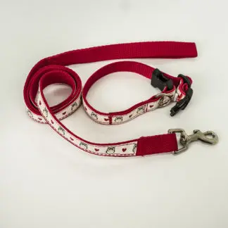 Collars and Leads