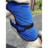Ancol Dog Cool Coat showing close up of the velcro fastening.
