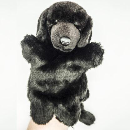Labrador Black Glove Puppet