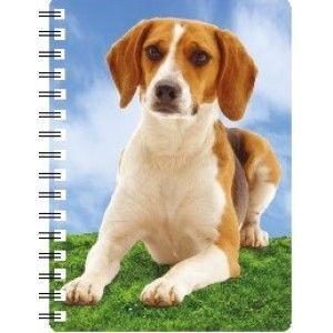 5030717118182 3D Notebook Beagle