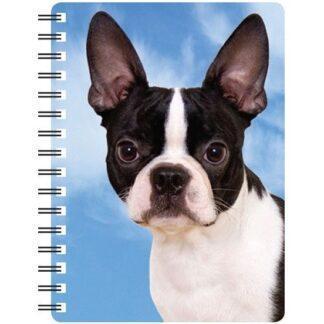 5030717116102 3D Notebook Boston Terrier