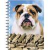 5030717115556 3D Notebook Bulldog 1
