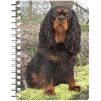 5030717115587 3D Notebook Cavalier Ruby and Black