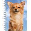 5030717118595 3D Notebook Chihuahua Long Hair 1