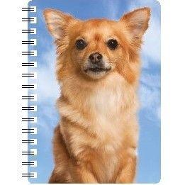 5030717118595 3D Notebook Chihuahua Long Hair 1