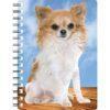 5030717120291 3D Notebook Chihuahua Long Hair 2
