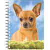 5030717115600 3D Notebook Chihuahua Short Hair 1