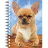 5030717120307 3D Notebook Chihuahua Short Hair 3