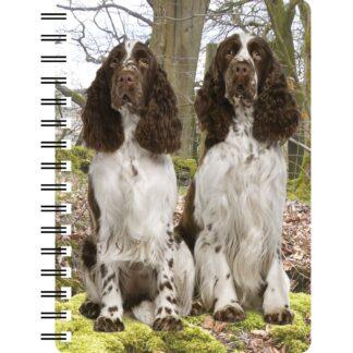 5030717122226 3D Notebook English Springers