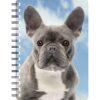 030717122486 3D Notebook French Bulldog Blue