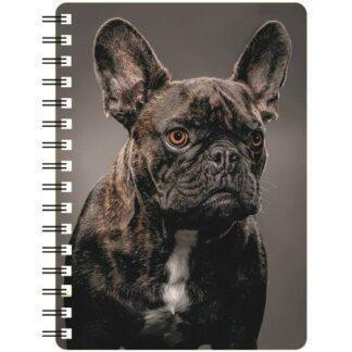 5030717123735 3D Notebook French Bulldog Brindle