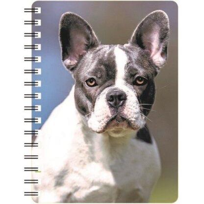 5030717123742 3D Notebook French Bulldog Pied