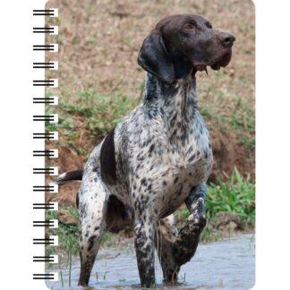 5030171122868 3D Notebook German Shorthaired Pointer
