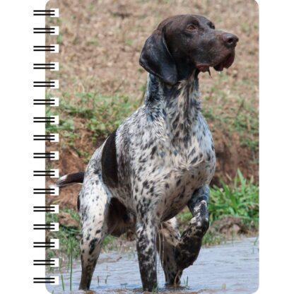5030171122868 3D Notebook German Shorthaired Pointer