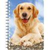 5030717118274 3D Notebook Golden Retriever 2