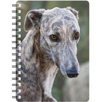 5030717120024 3D Notebook Greyhound Brindle