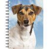 5030717122233 3D Notebook Jack Russell 3 Tri