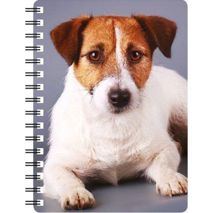5030717120130 3D Notebook Jack Russell Rough Coat