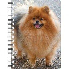 5030717120314 3D Notebook Pomeranian 2