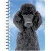5030717115747 3D Notebook Poodle Black