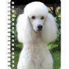 5030717120123 3D Notebook Poodle White