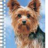 030717115822 3D Notebook Yorkshire Terrier 1