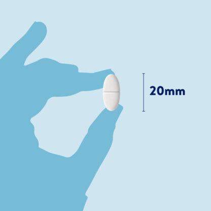 Dorwest Glucosamine and Chondroitin: showing tablet size - lozenge shaped 20mm longest side.