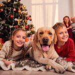 Christmas Safety - a family Christmas scene.