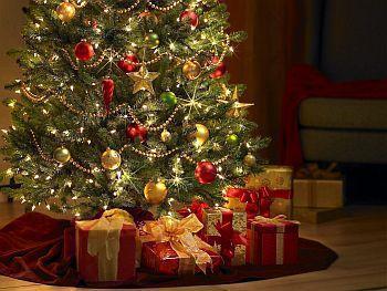 A Christmas Tree fully decorated, with presents underneath.