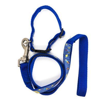 Space Theme Collar and Lead Set