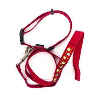 Strawberries on Red Collar and Lead Set