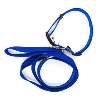 Wagytail Webbing Blue Collar and Lead Set