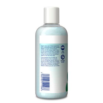 5060183511088 Dorwest Clean & Fresh Shampoo - 250ml