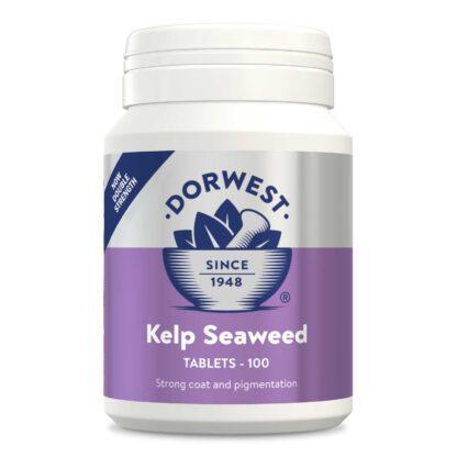 5060183510067 Dorwest Kelp Seaweed - 100 Tablets