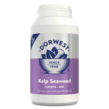 5060183510074 Dorwest Kelp Seaweed - 200 Tablets