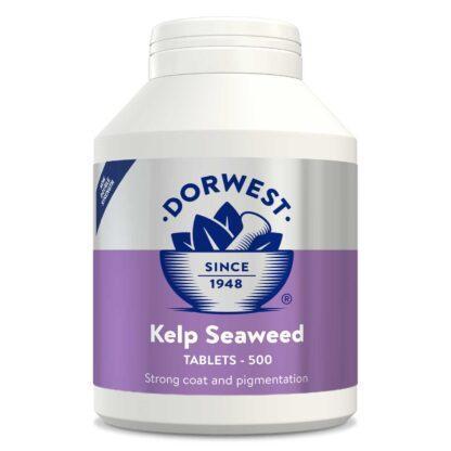 5060183510081 Dorwest Kelp Seaweed - 500 Tablets