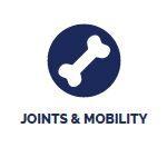Joints and Mobility