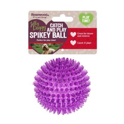 502565938340 Rosewood Catch & Play Spikey Ball Purple