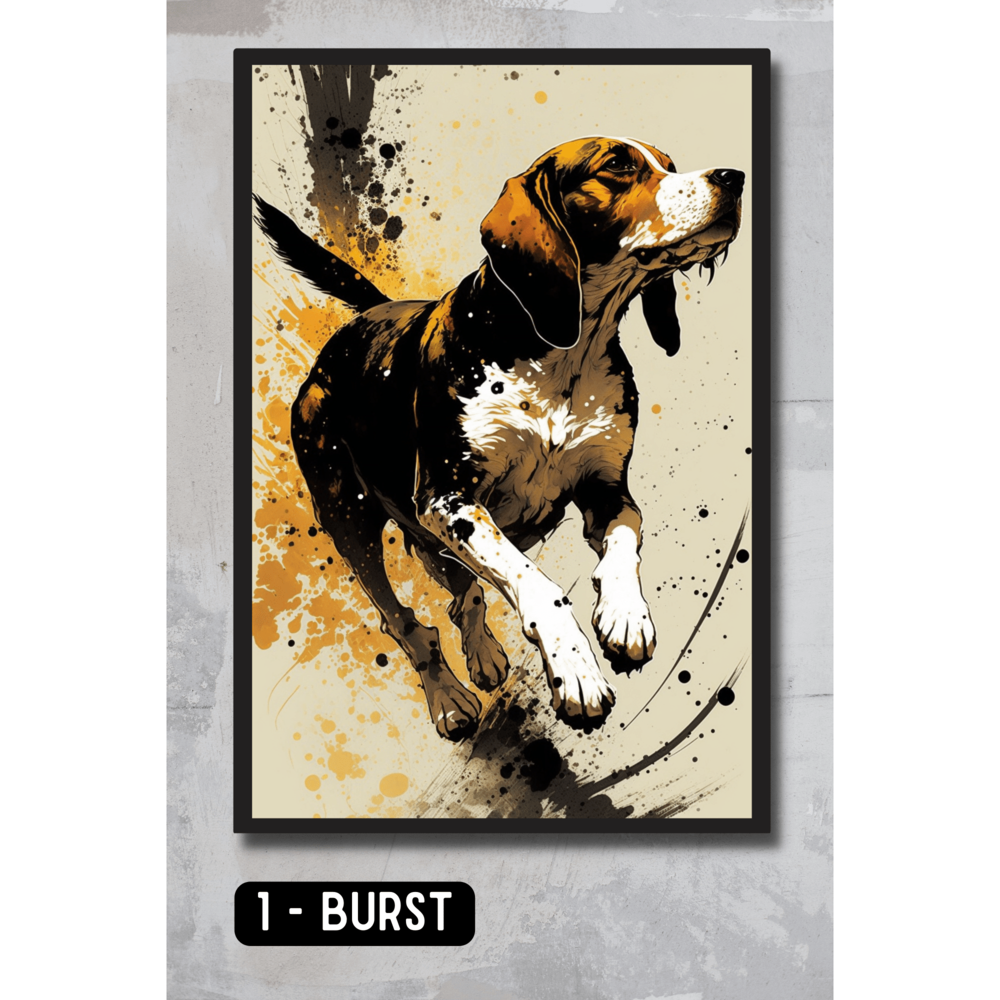 Beagle Pet Portrait - Burst