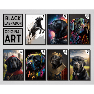 Black Labrador Pet Portrait