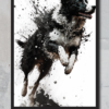 Border Collie Pet Portrait - Burst