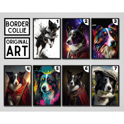 Border Collie Pet Portrait