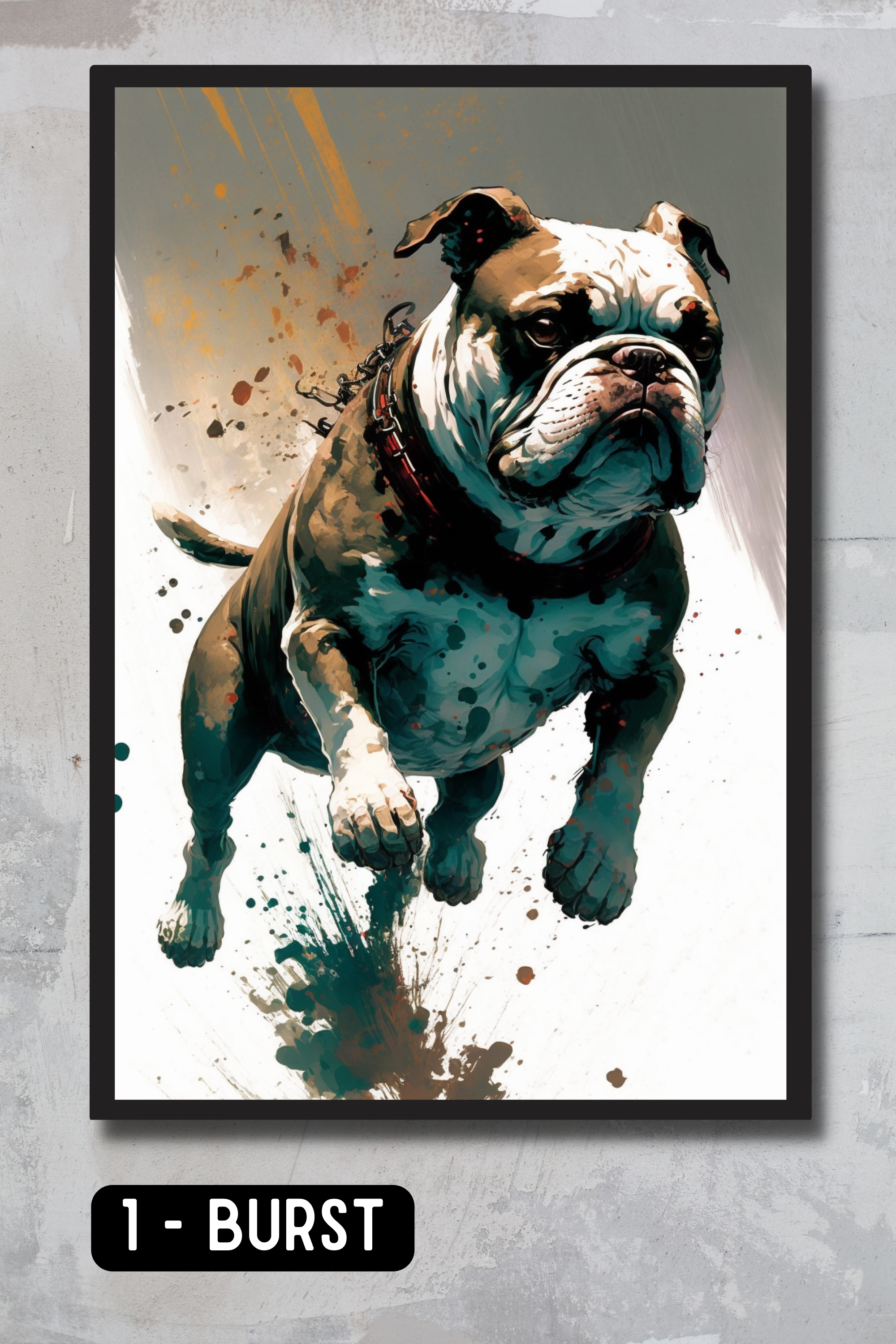 Bulldog Pet Portrait - Burst