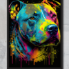 Please follow and like us: Staffordshire Bull Terrier Pet Portrait - Graffiti