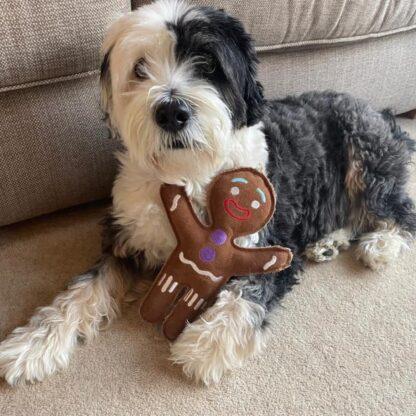 0703625146060 Jean Genie the Gingerbread Person Eco Dog Toy being cuddled by a dog